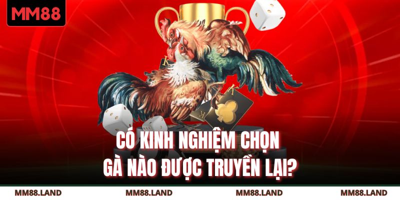 Có kinh nghiệm chọn gà nào được truyền lại?