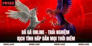 Đá Gà Online