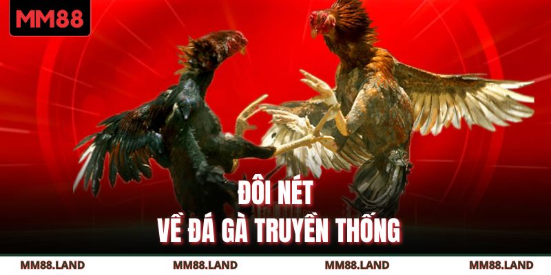 Đôi nét về đá gà truyền thống\