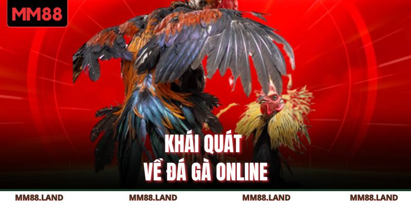 Khái quát về đá gà online