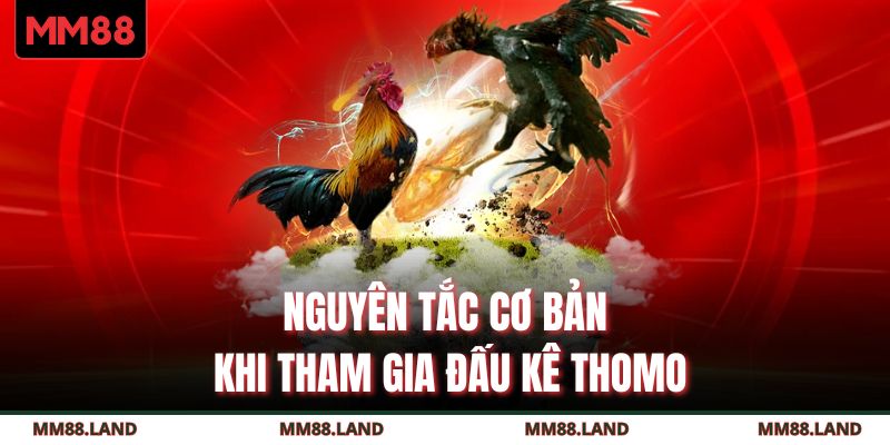 Nguyên tắc cơ bản khi tham gia đấu kê thomo