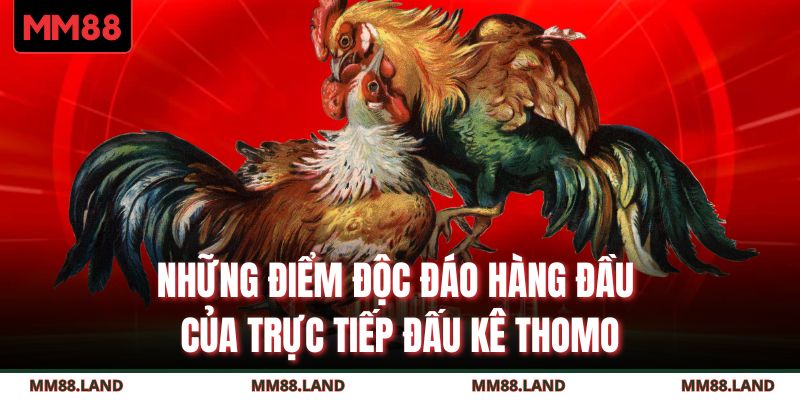 Những điểm độc đáo hàng đầu của trực tiếp đấu kê Thomo
