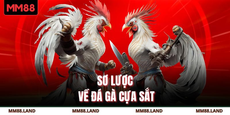 Sơ lược về đá gà cựa sắt