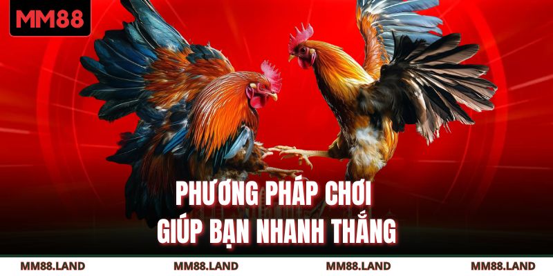 Phương pháp chơi giúp bạn nhanh thắng