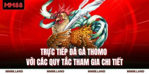 Trực Tiếp Đá Gà Thomo